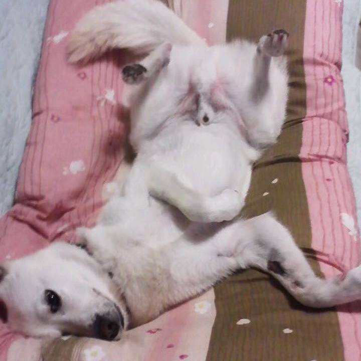 5705d595 37df 413b a5d1 68f88417a8ae