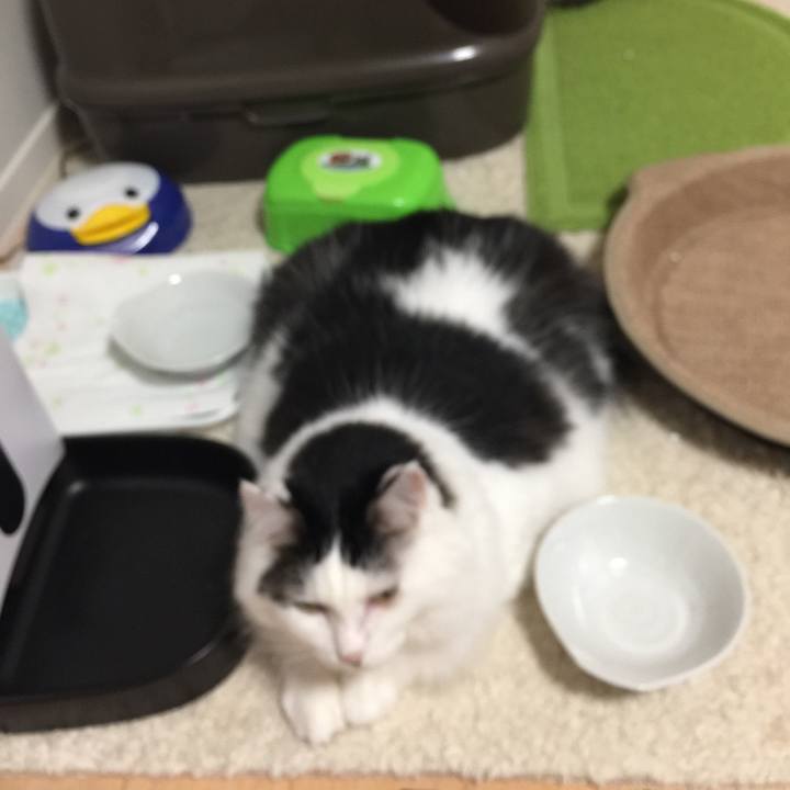 5705fb9e 50ff 487a 86af 8cf773d45e96