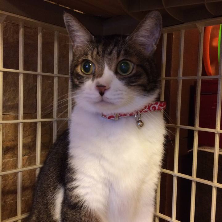 5706bbb1 fcca 4aa6 be9d 9ca8dd4016a2