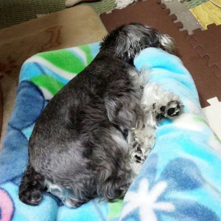 5706bcfb 935b 49c6 a553 c0c9eb1b4982