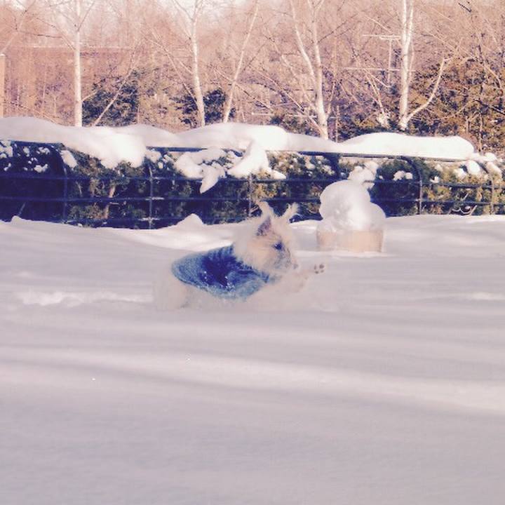 5706ce21 3da3 41fb b274 494f92a7290e