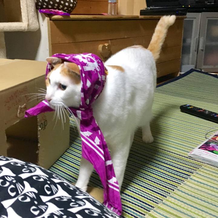 57071407 a4a5 4aac 8443 34ce0edcc4c1