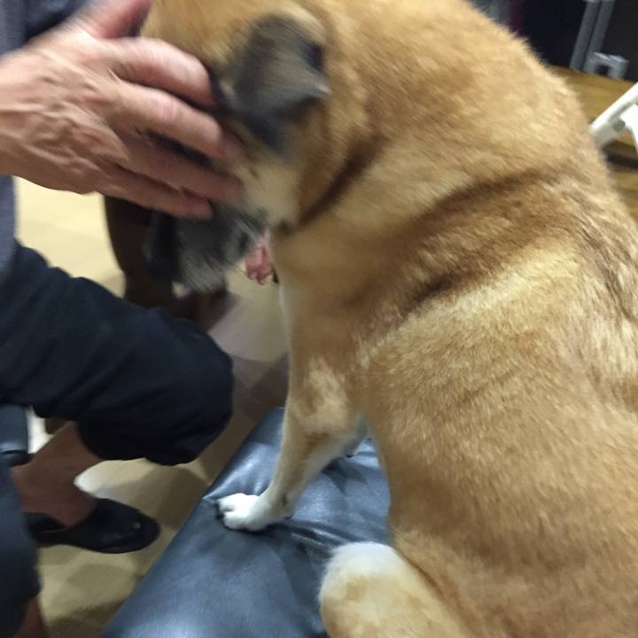 57072ff7 f712 4741 8451 1c685c1e6999