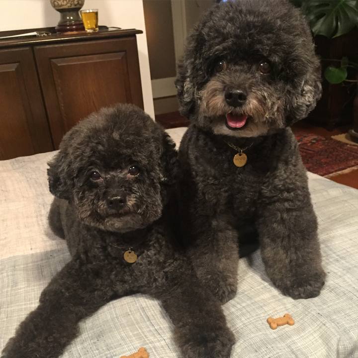 5707575a ae4b 4202 b84c 920f3b572a8b