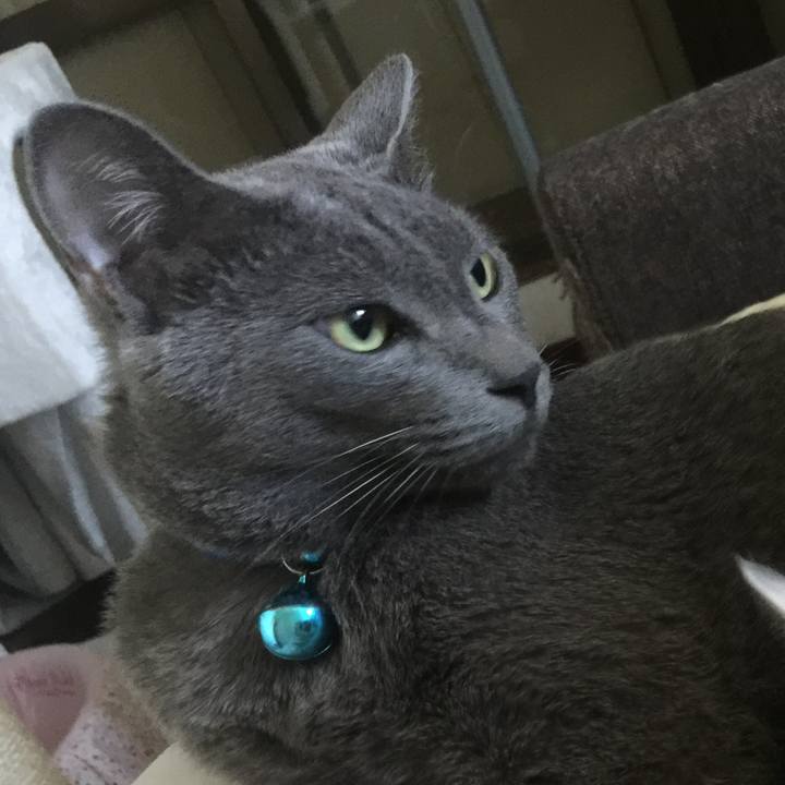 570780f0 07a7 4895 b374 03250caea5bc