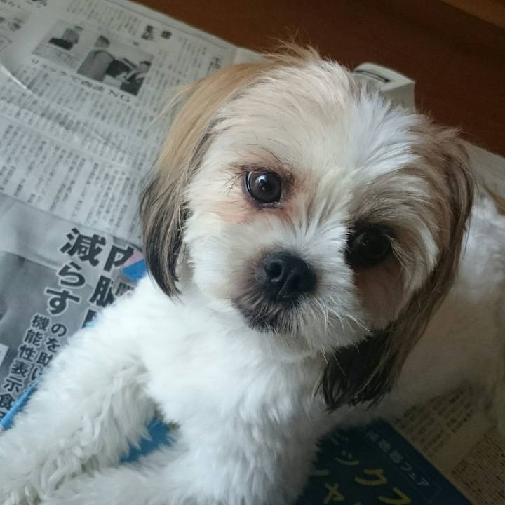 5707a394 df35 4b4c b82f 845dafa623e8