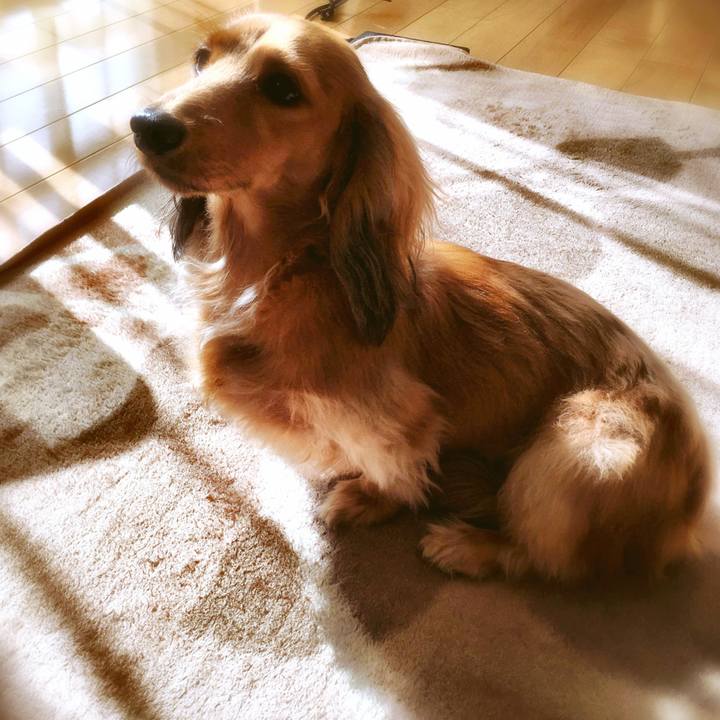 5708260e e00b 4714 9d52 52a38a123d91