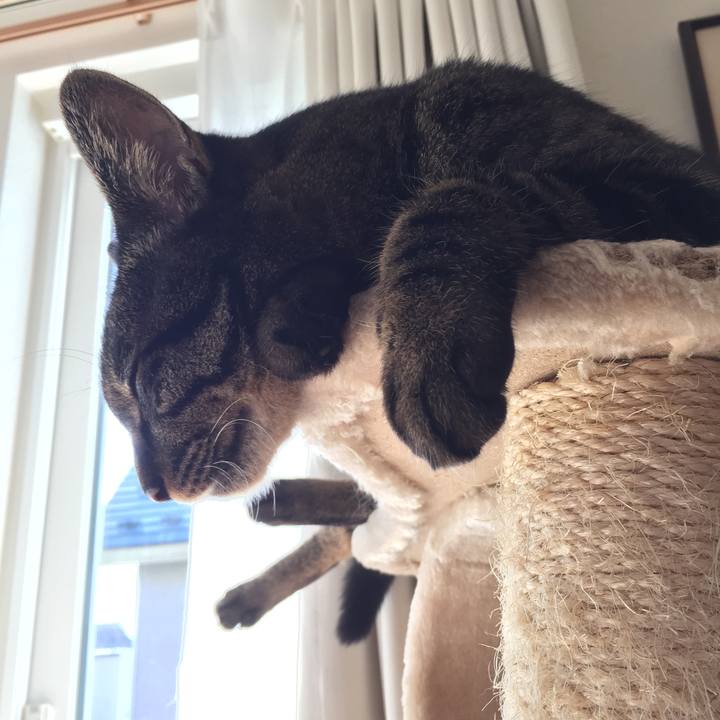 5708e802 4ab1 4421 ac48 be85959af819