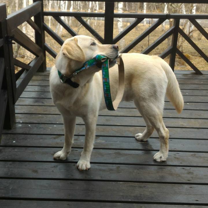 5709c035 e181 477e 9378 d77a4e95ffb4