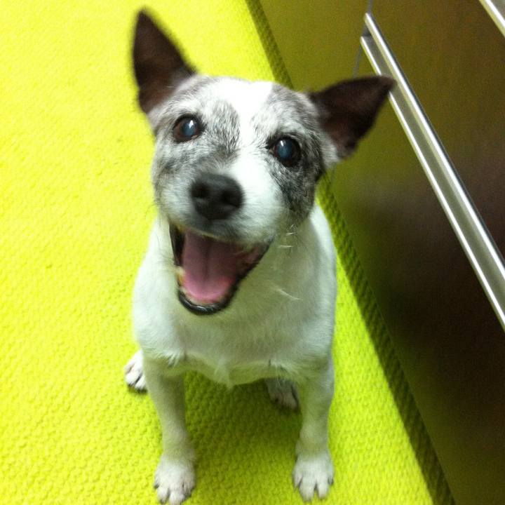 570ace8b de1a 4105 a50a 61b37cdfcd02