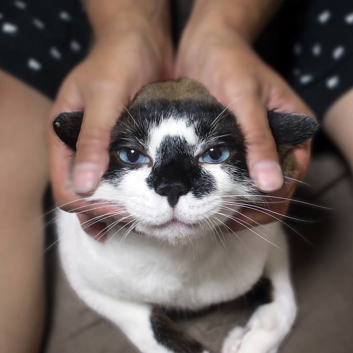 570b138c a02b 4f0b 820e 7604bf7ff537