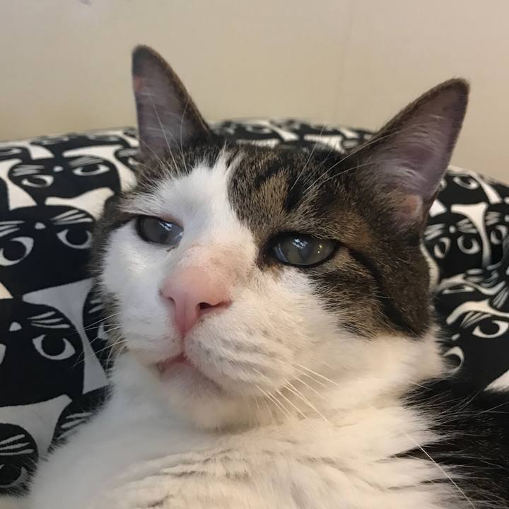 570bb26b 269d 4fcb a73e c50fa1beb5fc