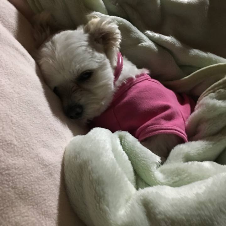 570bdeeb 8ce4 4e1b 8ac8 a1775a267d8a