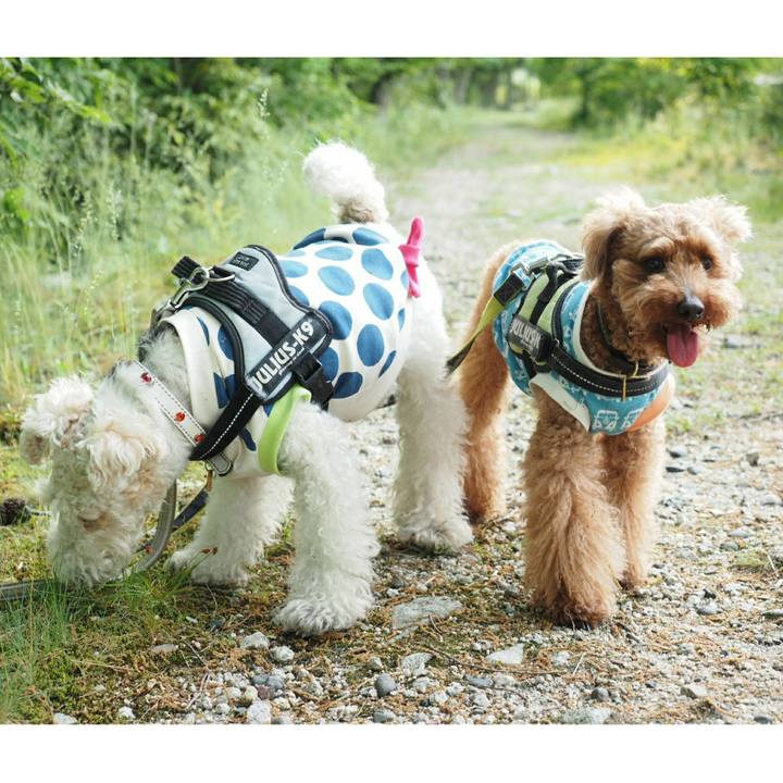 570c28c5 f4fd 4818 a2b9 1e14d7c52d49