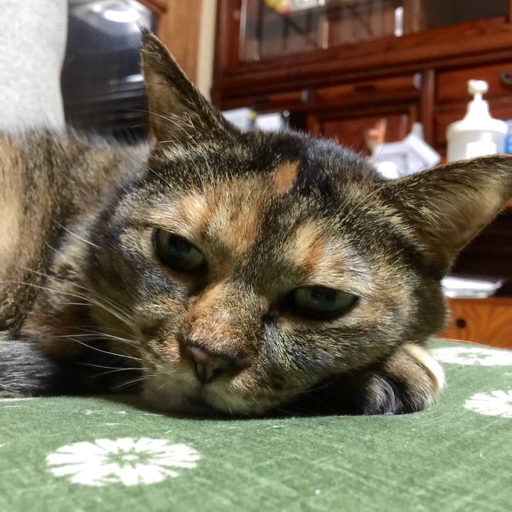 570d11f2 1f51 414a 83ee 495a938472f2