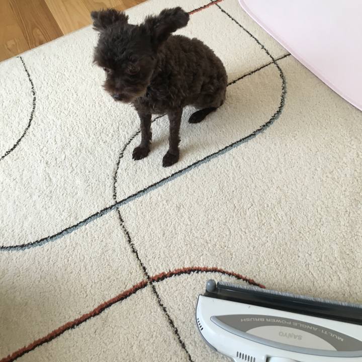 570ddd09 2ff0 4559 8241 e77d47a4e0d6