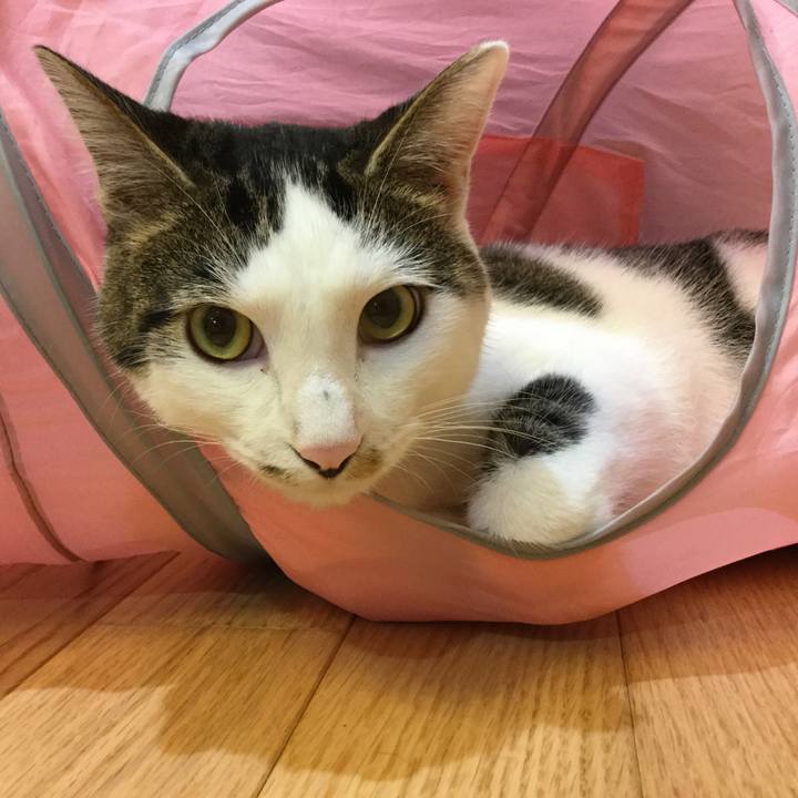 570de358 488b 4951 9ae4 a830a8c29a63