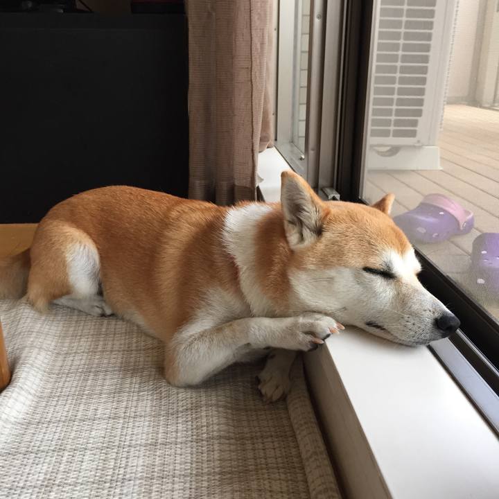 570deaa5 ca6a 4a7f 842e 8f894ae1e463