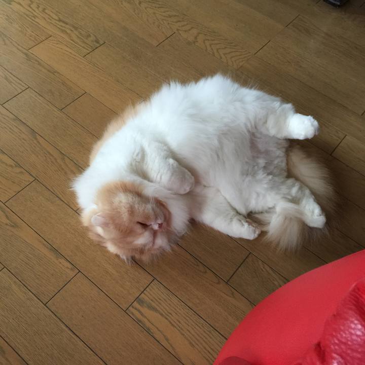 570e2b0b 745a 4a13 ae42 bb2943e0b1ed