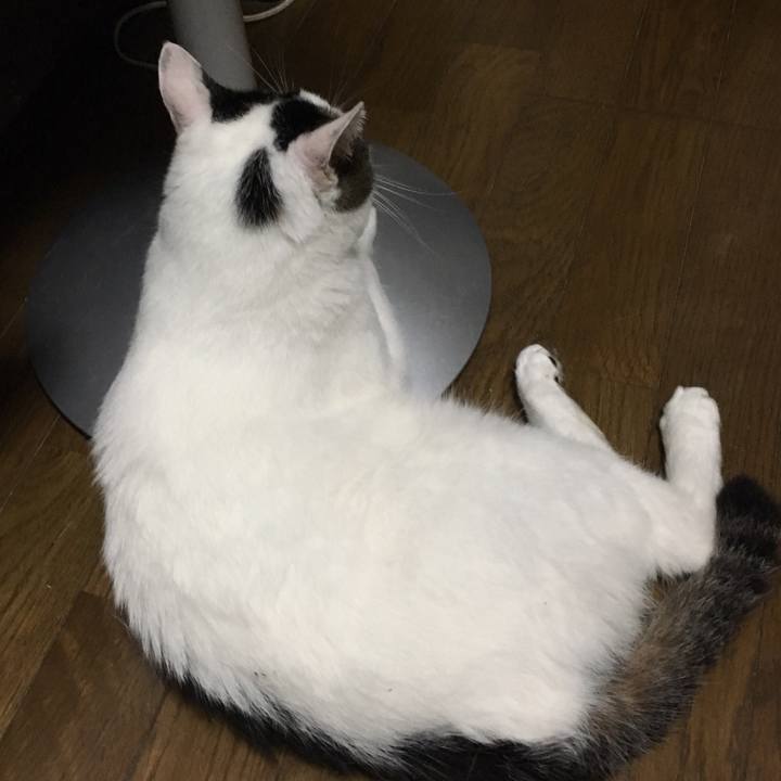 570f79a0 cdde 4c1b 8fb7 180259530f35