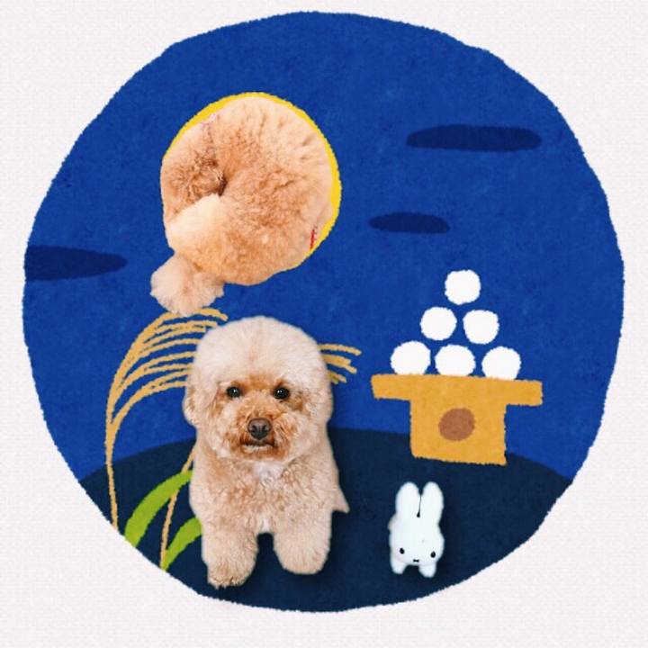 570f8655 6445 4e4b 8fc2 a07c6f1a607f