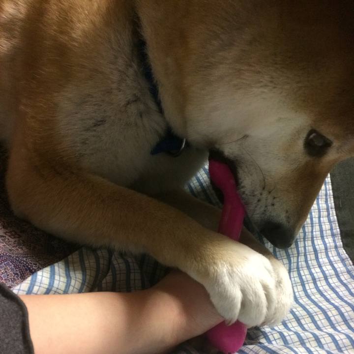 570faa67 fe85 45cf a015 6115871a59ac