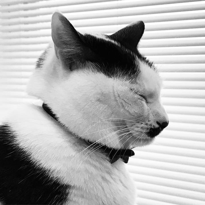 571006d4 0ee0 4365 a9ca 8e6771ae8009