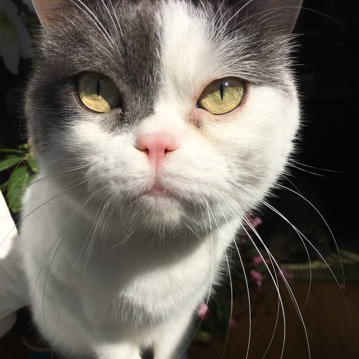 571064a3 2cf2 46cd 832b 745ab70e20f6