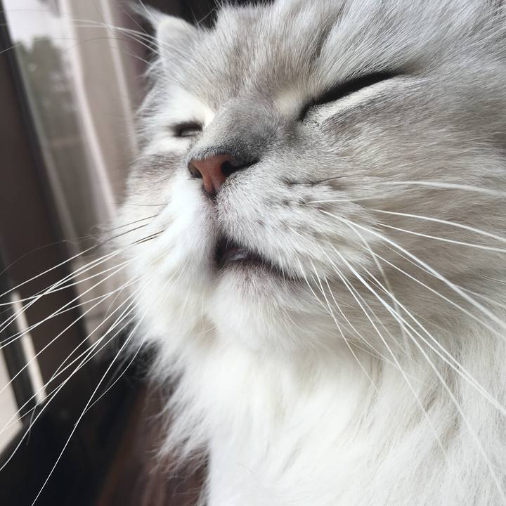 571087f1 7403 4adc 883a 47004f0f65c0