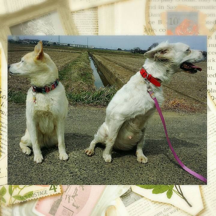 5710b647 8b55 49a8 ae52 2b975d3fe2b7