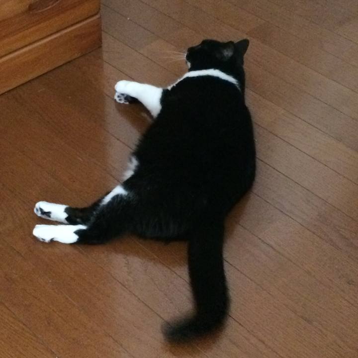 5710be2c 22a8 472b bd68 5b3c1bf093ca