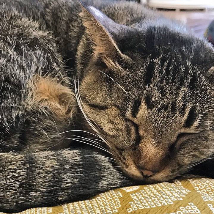 5710ccf5 5405 4ef5 9928 a4ea78718ed6