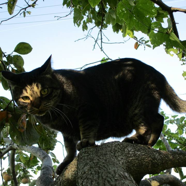 5710cea1 32ff 4f88 ac54 808a3b907a3e