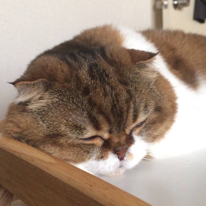 5711788e fdf6 4df1 9f18 47c49b6037e4