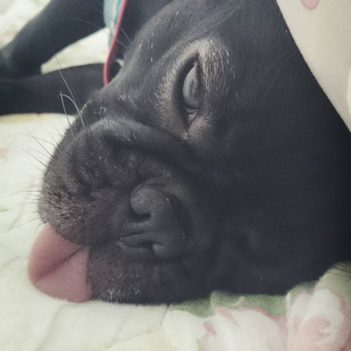 5711d4b7 ad87 45b8 b043 2292e2411681