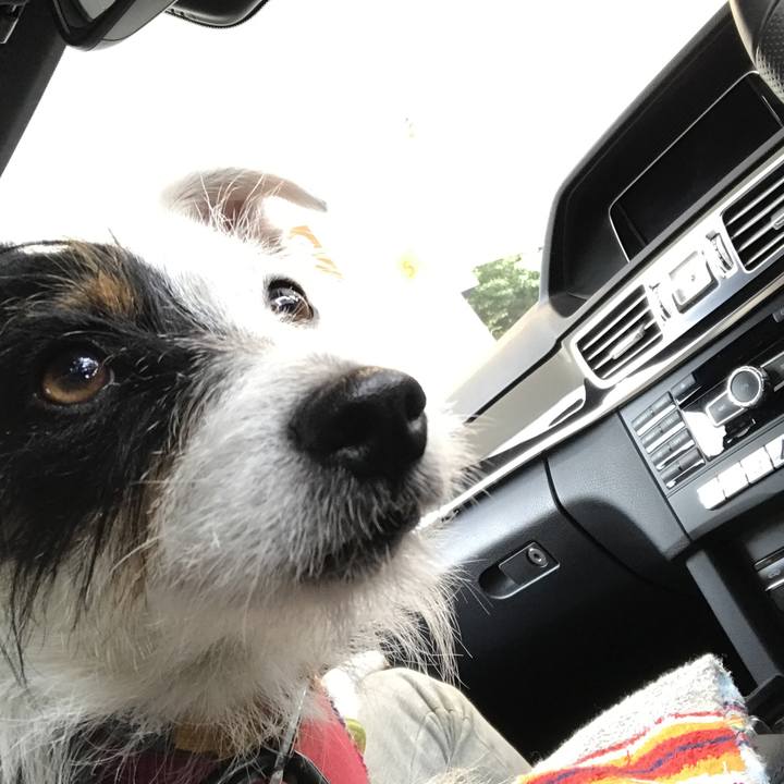 57120fc5 8784 459f b165 0313a4140fd5