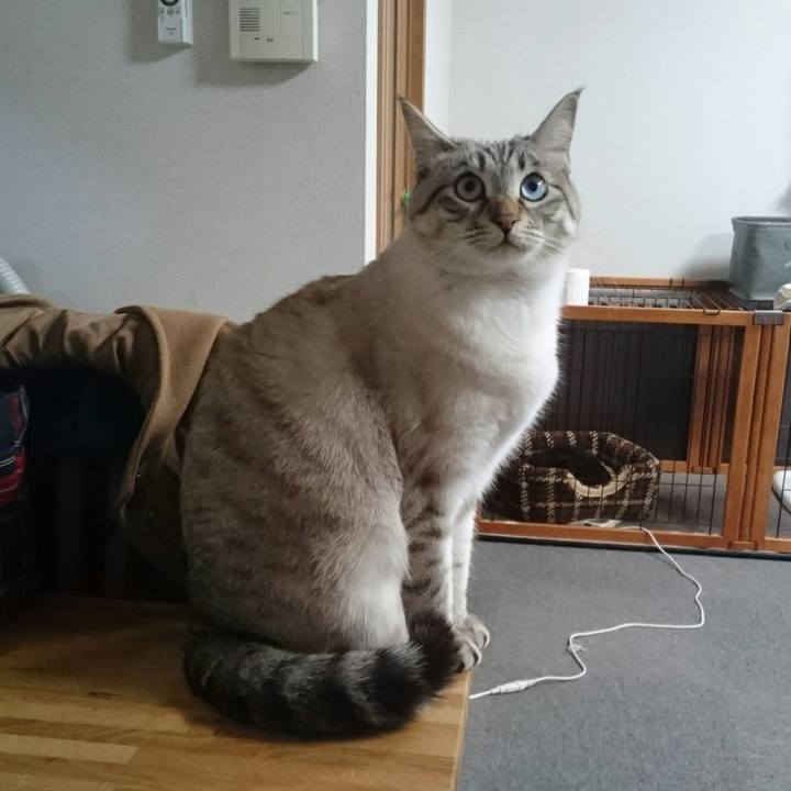 5712845c a968 4e30 8807 b8ef81736605