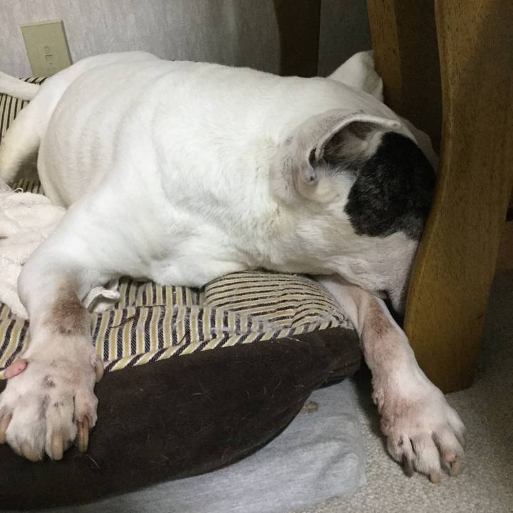 5712d1a2 5c43 4bb0 964b 7fbd8b20dacc