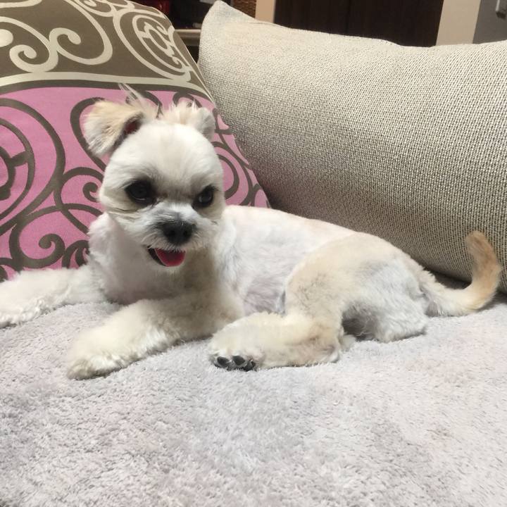 5713b94a a031 467e 9ec5 6d9e1ad9ecd9