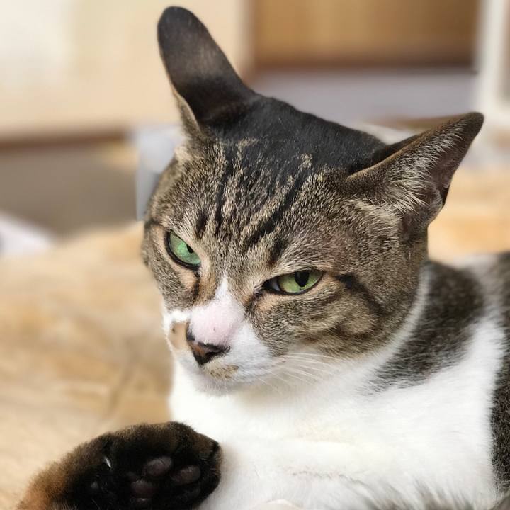 5713c810 9802 4f03 b033 989b022b045a