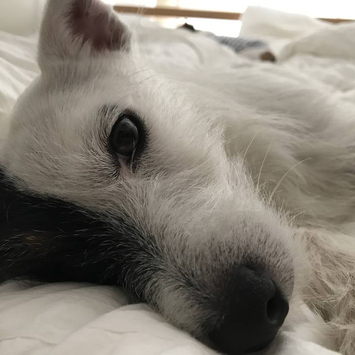 5713f9c8 5b8b 48d5 93d5 61a9d4aadd3e