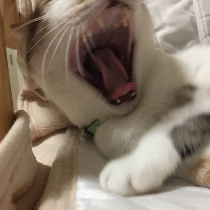 57141946 da90 4911 a6be f8844b9a6908