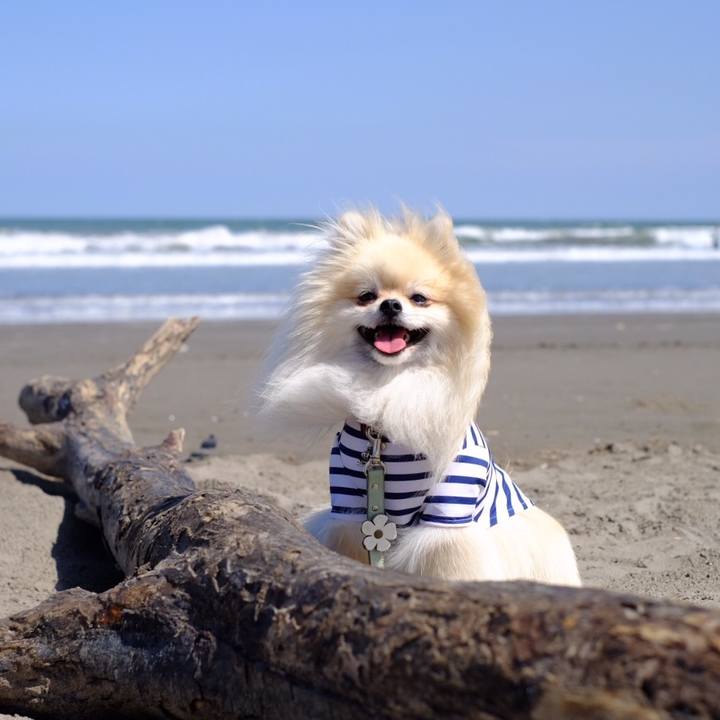 57152cf1 f13a 46f0 97a2 1ca288e8debe