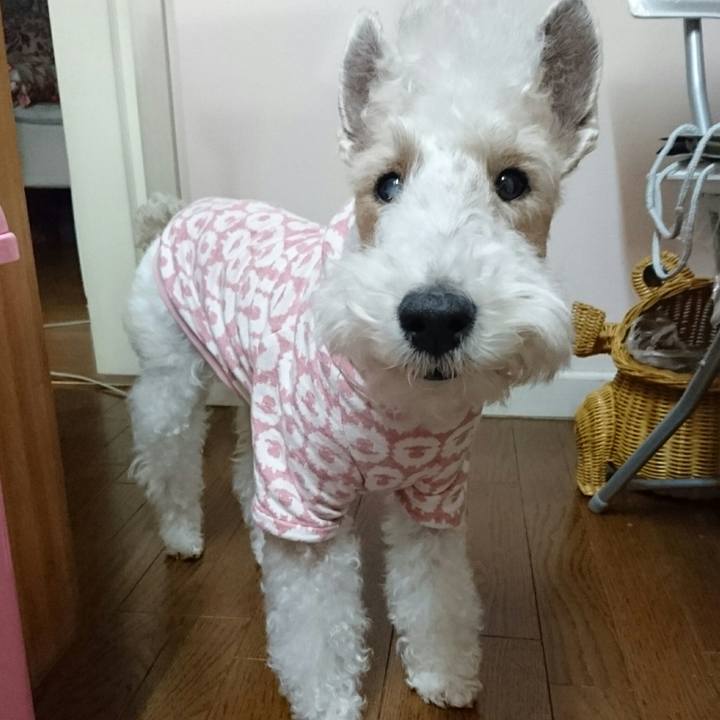 5715802a 281a 4a3f 9935 163fa3f8ba46