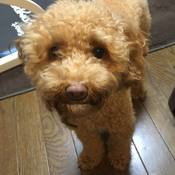 5715b9b8 0916 4aa6 843d bfec28aafa30