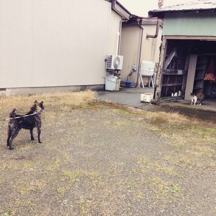 571632c5 24bd 4491 9250 6c632445c45f