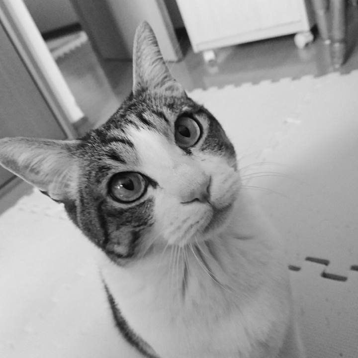 5717367b 5af3 4994 afac 14ae28c1b1b6