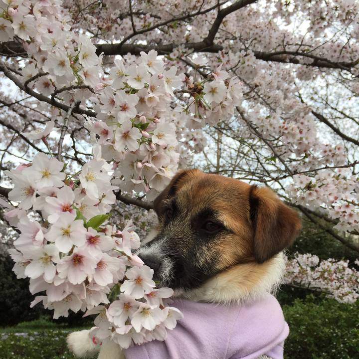 57183ecc a08f 471f a350 8e336d82b3b1