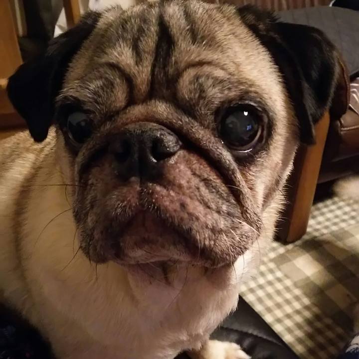 57188516 7bf9 4817 bfd8 7e62c594618b