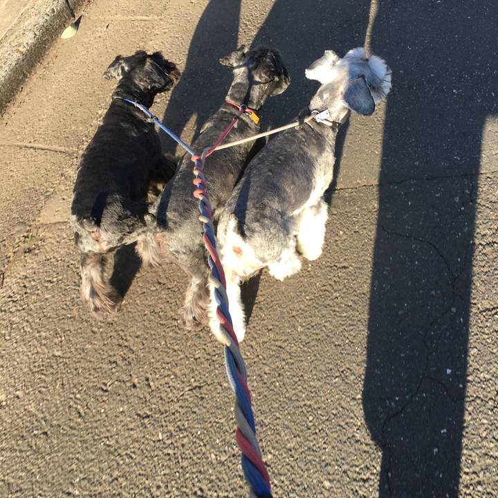 57188eb6 cb26 4611 ac03 be2d14cc6281